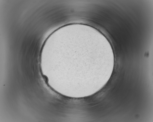X0000113200951200910221037