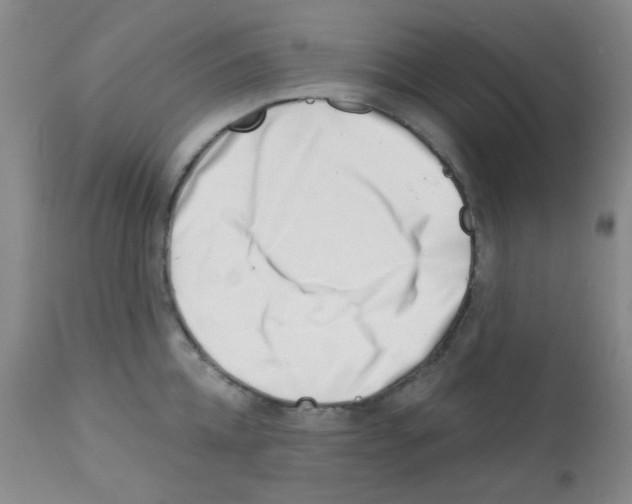 X0000113200952200910221037