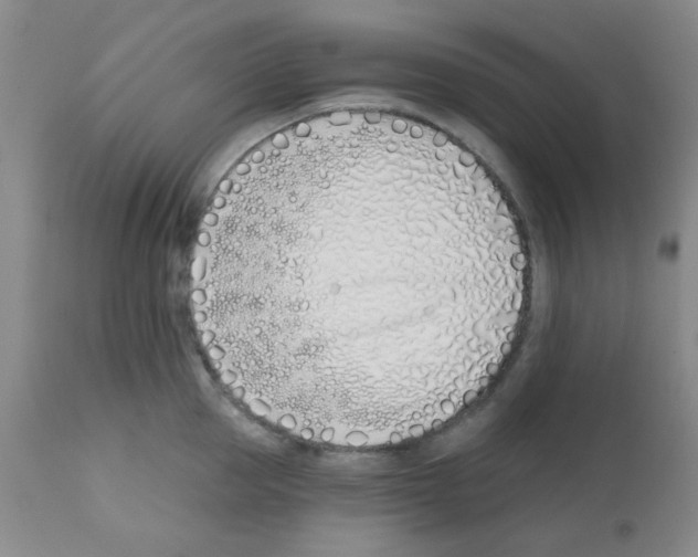 X0000113200953200910221037