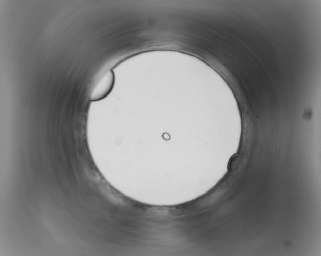 X0000113200956200910221037