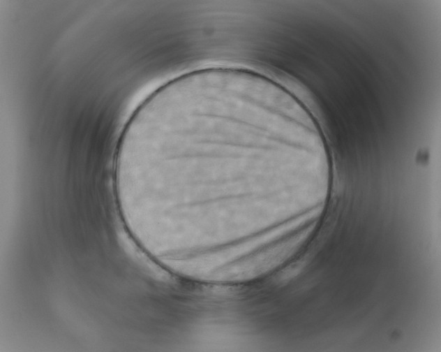 X0000113200958200910221037