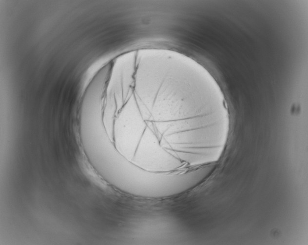 X0000113200960200910221037