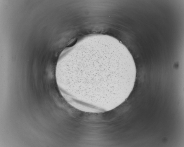 X0000113200962200910221036