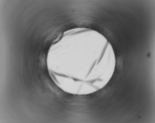 X0000113200963200910221036