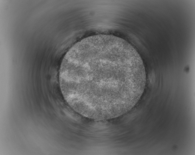 X0000113200964200910221036