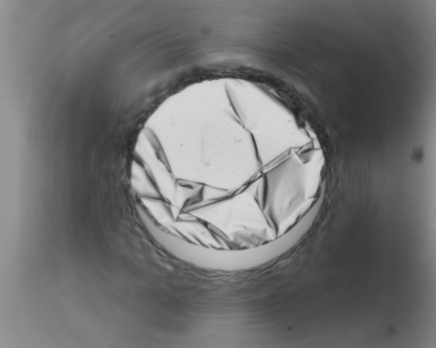 X0000113200965200910221036