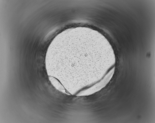 X0000113200967200910221036