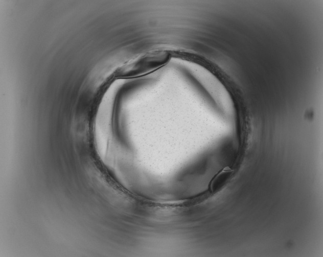 X0000113200969200910221036