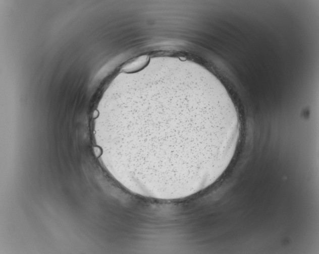 X0000113200970200910221036