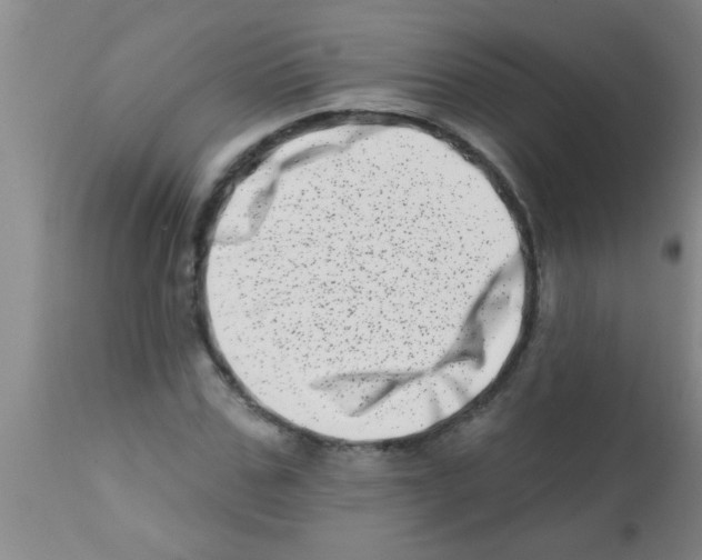 X0000113200971200910221036