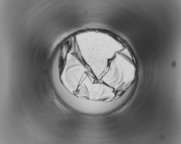 X0000113200973200910221036