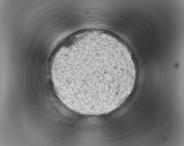 X0000113200974200910221036