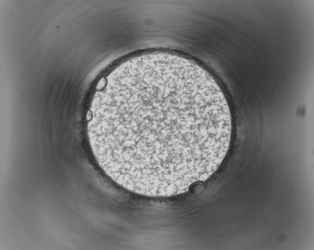 X0000113200975200910221036