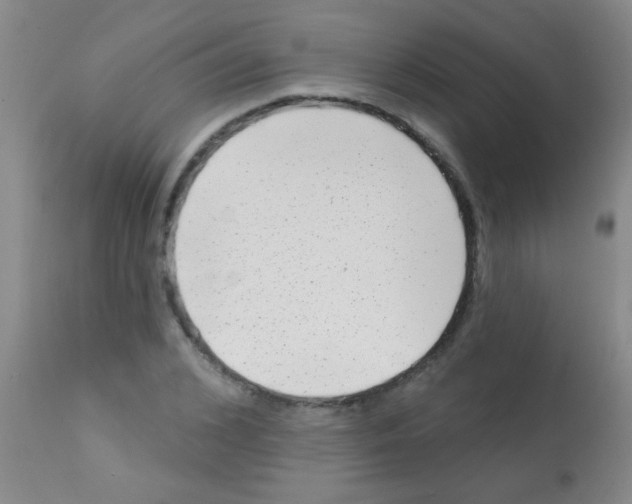 X0000113200976200910221036