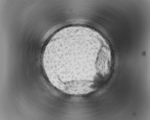 X0000113200978200910221036