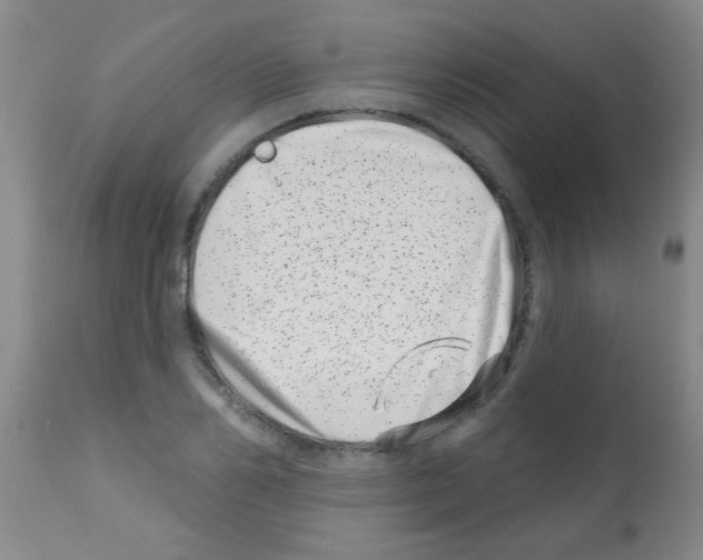 X0000113200982200910221036
