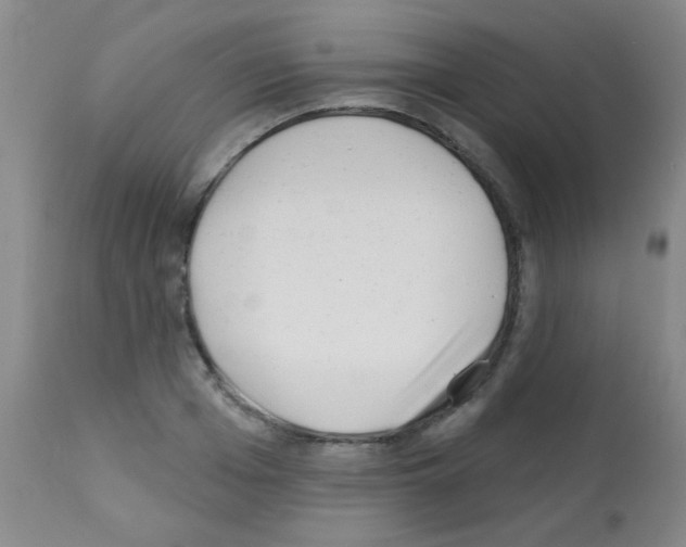 X0000113200985200910221036