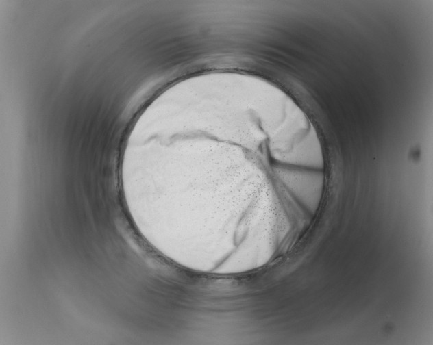 X0000113200986200910221036