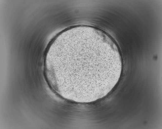 X0000113200987200910221036
