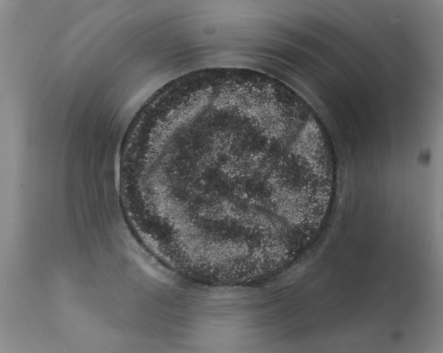 X0000113200988200910221036