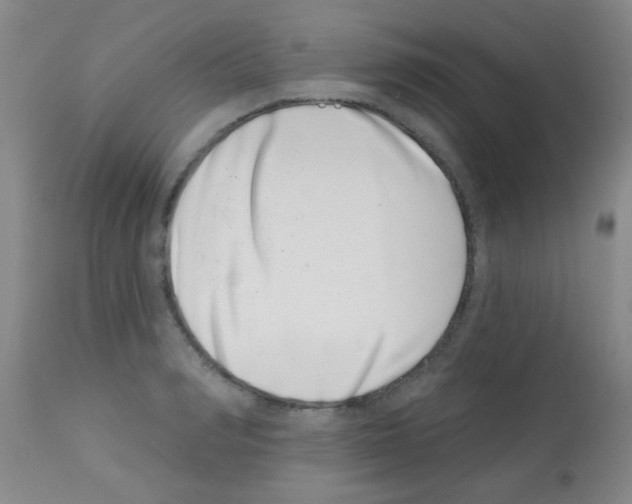 X0000113200990200910221036