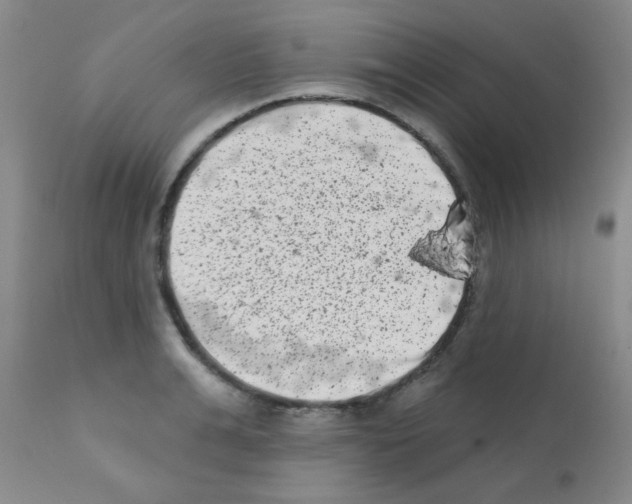X0000113200991200910221036