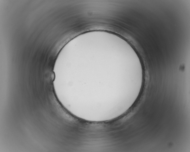 X0000113200993200910221036