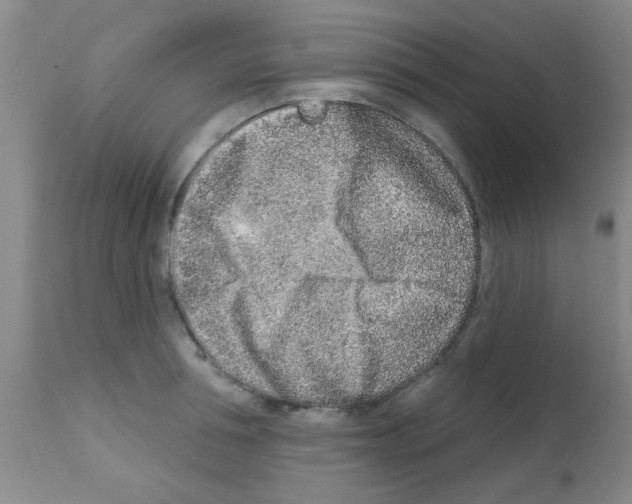 X0000113200994200910221036
