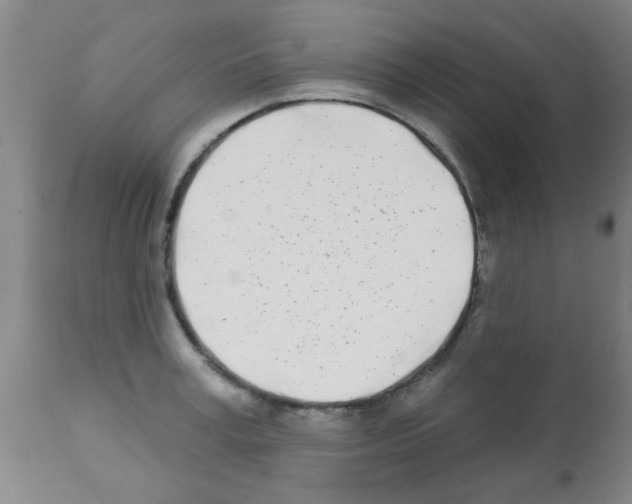 X0000113200995200910221036