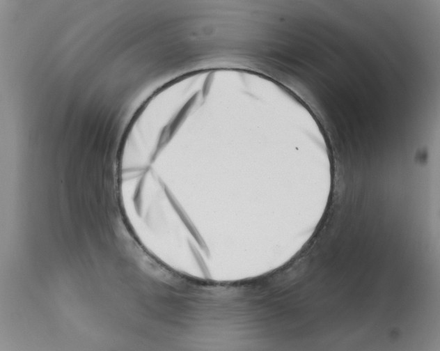 X0000113200996200910221036