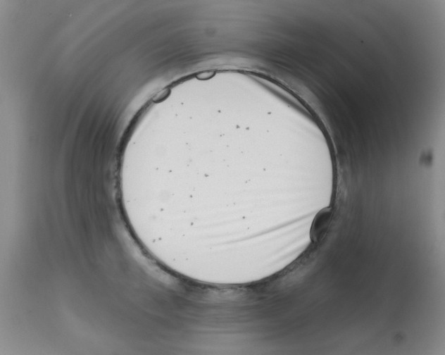 X0000113200997200910221036