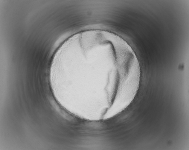 X0000113200998200910221036