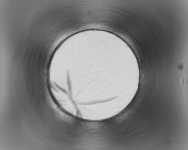 X0000113200999200910221035