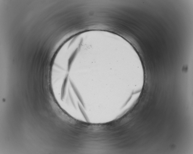 X0000113201000200910221035