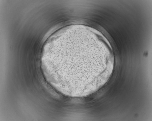 X0000113201002200910221035