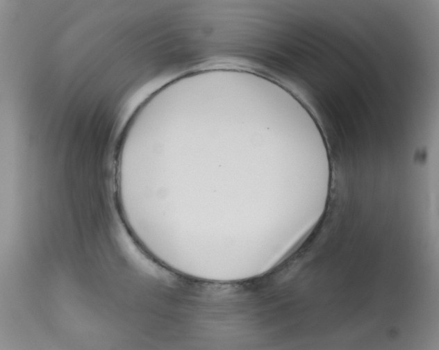 X0000113201003200910221035