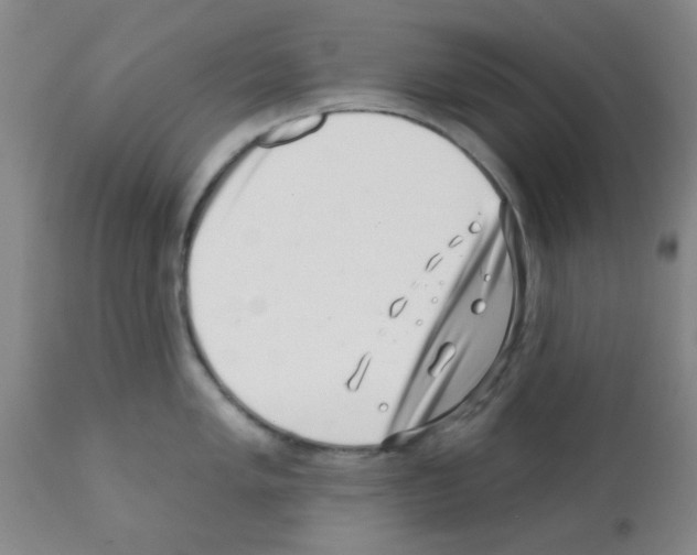 X0000113201005200910221035