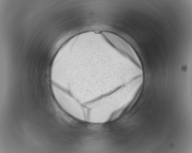 X0000113201006200910221035