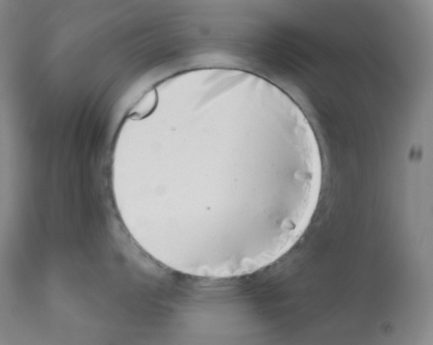 X0000113201008200910221035