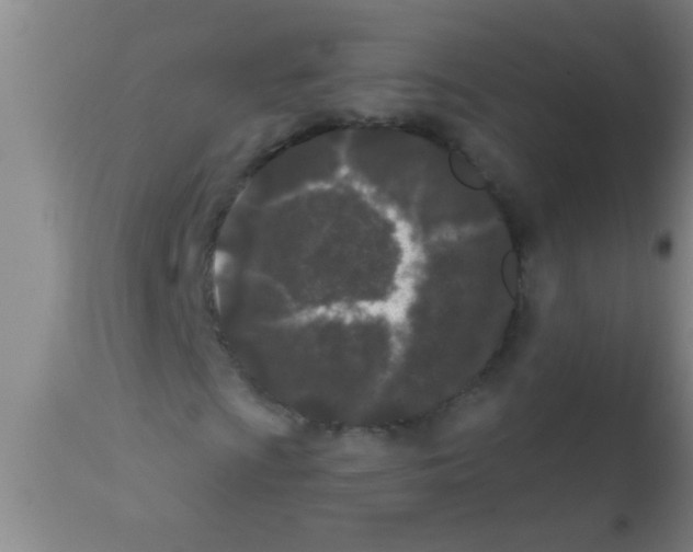 X0000113201009200910221035