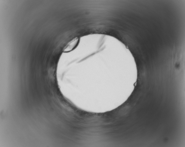 X0000113201010200910221035