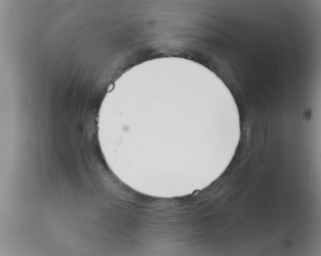 X0000113201012200910221035