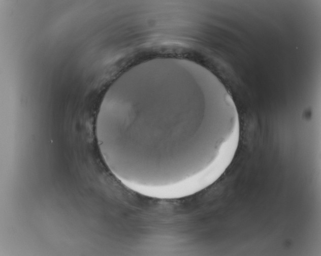 X0000113201013200910221035