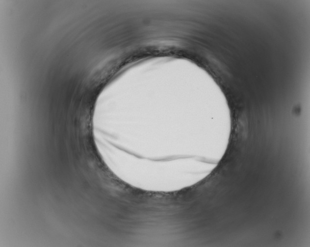 X0000113201014200910221035