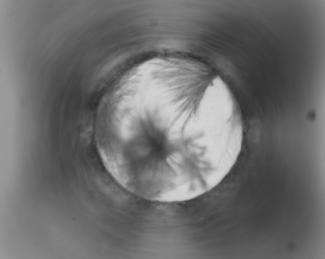 X0000113201015200910221035
