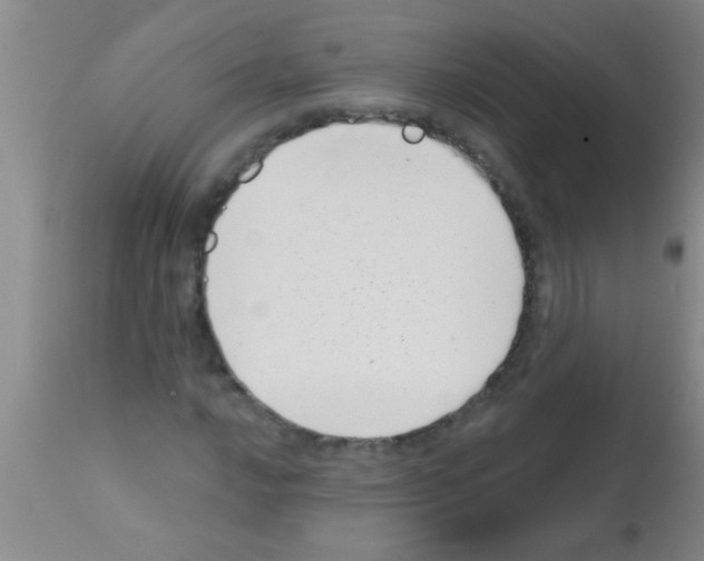 X0000113201016200910221035