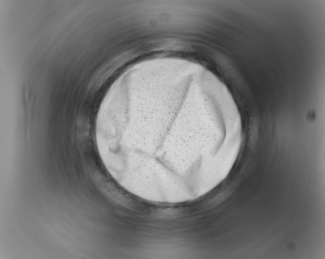 X0000113201017200910221035