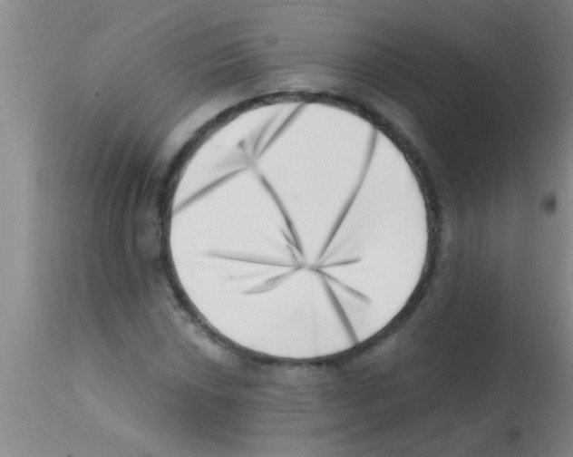 X0000113201018200910221035