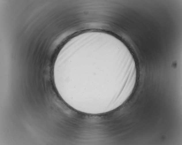 X0000113201019200910221035