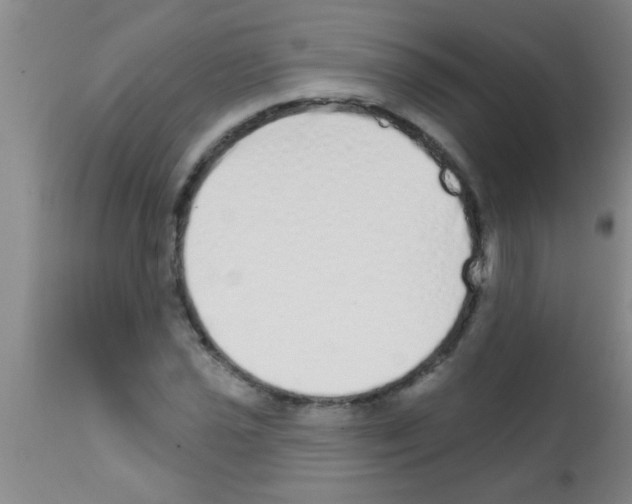 X0000113201021200910221035